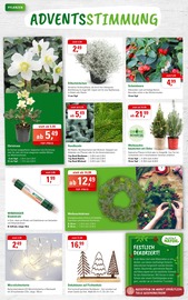 Aktueller ZG Raiffeisen Prospekt mit Weihnachtsbaum, "JETZT WIRD'S GEMÜTLICH", Seite 2