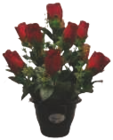 Pot de boutons de roses en promo chez Hyper U La Rochelle à 7,99 €
