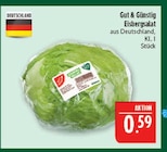 Marktkauf Saalfeld - Eisbergsalat Angebot im Prospekt Eisbergsalat bei Marktkauf im Saalfeld Prospekt für 0,59 €