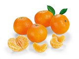 Bio Mandarinen Angebote von REWE Bio bei REWE Kamp-Lintfort für 1,99 €