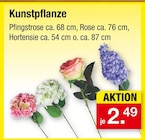 Kunstpflanze Angebote bei Zimmermann Gronau für 2,49 €