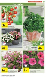Offre Fleur En Pot dans le catalogue Carrefour Market du moment à la page 35