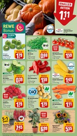 Kürbis im REWE Prospekt in Nürnberg Aktueller REWE Prospekt mit Kürbis, "Dein Markt", Seite 7