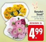 Ranunkel-Strauß im aktuellen EDEKA Prospekt für 4,99 €