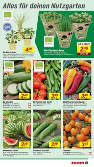 Tomaten im toom Baumarkt Prospekt "Respekt, wer's selber macht." mit 26 Seiten (Braunschweig)