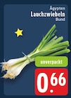 EDEKA Schwalmtal - Lauchzwiebeln Angebot im Prospekt Lauchzwiebeln bei EDEKA im Schwalmtal Prospekt für 0,66 €