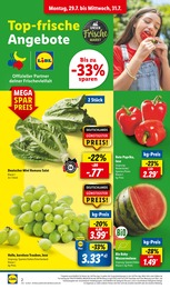 Lidl Wassermelone im Prospekt 