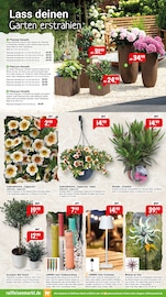 Aktueller Raiffeisenmarkt Prospekt mit Gartendeko, "Wir leben Nähe", Seite 7