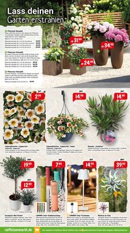 Blumentopf im Raiffeisenmarkt Prospekt "Wir leben Nähe" mit 16 Seiten (Hamm)