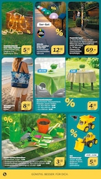 Laterne Angebot & Preis im aktuellen Netto mit dem Scottie Prospekt Laterne Angebot im aktuellen Netto mit dem Scottie Prospekt auf Seite 24