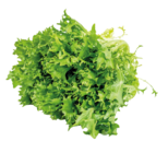 FRISEE SALAT Angebote bei REWE Köln für 2,49 €
