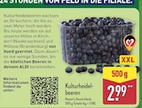 ALDI Nord Ilsenburg - Kulturheidelbeeren Angebot im Prospekt Kulturheidelbeeren bei ALDI Nord im Ilsenburg Prospekt für 2,99 €