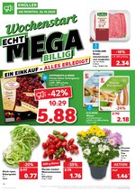 Kaufland Prospekt für Berlin mit 48 Seiten Kaufland Prospekt für Berlin: "ECHT MEGA BILLIG", 48 Seiten, 26.10.2020 - 28.10.2020