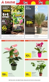 Promos Terreau dans le catalogue "LE MOIS MONOPOLY" de Carrefour Market Terreau en promo dans le catalogue Carrefour Market à la page 52