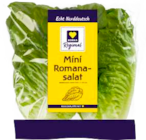 Mini Romanasalat bei EDEKA im Selsingen Prospekt für 0,99 €