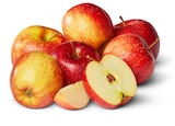 rote Äpfel Gala im aktuellen Penny Prospekt für 2,29 €