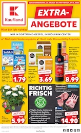 Kaufland Prospekt für Castrop-Rauxel mit 8 Seiten Kaufland Prospekt "EXTRA-ANGEBOTE" für Castrop-Rauxel, 8 Seiten, 25.09.2025 - 01.10.2025