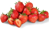 Erdbeeren im Angebot bei REWE in Dachau Erdbeeren Angebote von REWE Beste Wahl bei REWE Dachau für 2,49 €
