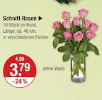 Schnitt Rosen von  im aktuellen V-Markt Prospekt für 3,79 €