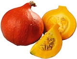 Hokkaido Kürbis rot im Angebot bei REWE in Neustadt Hokkaido Kürbis rot Angebote von REWE Regional bei REWE Neustadt für 1,11 €