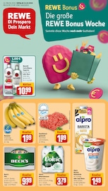 REWE Discounter Prospekt der aktuellen Woche mit 30 Seiten, gültig von 13.10.2025 bis 18.10.2025, in Grafenau und Umgebung Aktueller REWE Discounter Prospekt in Grafenau und Umgebung, "Dein Markt" mit 30 Seiten, 13.10.2025 - 18.10.2025