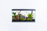 Aquarium "Tropical 60" PURE FAMILY - PURE FAMILY dans le catalogue Jardiland