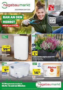 Aktueller Hagebaumarkt Prospekt (Bad Aibling, 14 Seiten zum blättern Hagebaumarkt Prospekt RAN AN DEN HERBST mit 14 Seiten