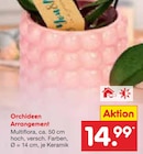 Orchideen Arrangement im aktuellen Netto Marken-Discount Prospekt