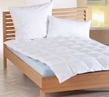 Oreiller en promo chez Möbel Martin Metz à 24,99 €