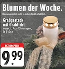 Aktuelle Grabgesteck Angebote bei E center in Dortmund Aktuelles Grabgesteck mit Grablicht Angebot bei E center in Dortmund ab 9,99 €