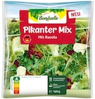 Pikanter Mix Angebote von Bonduelle bei REWE Tübingen für 1,59 €