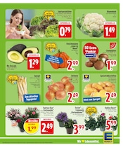 Kartoffeln im EDEKA Prospekt in Straubing Aktueller EDEKA Prospekt mit Kartoffeln, "Wir lieben Lebensmittel.", Seite 5