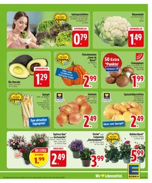 Blumen im aktuellen EDEKA Prospekt (Augsburg) Blumen im EDEKA Prospekt "Wir lieben Lebensmittel." mit 26 Seiten (Augsburg)
