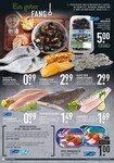 Fisch Fisch