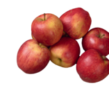 Aktuelles Bio-Äpfel Angebot bei tegut in Würzburg ab 1,99 €