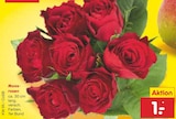 Moosrosen  im aktuellen Netto Marken-Discount Prospekt für 1,00 €