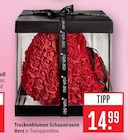 Marktkauf Filderstadt Prospekt mit  im Angebot für 14,99 €