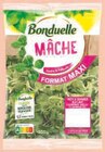 Salade - Bonduelle dans le catalogue U Express