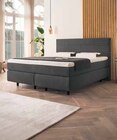 Boxspringbett LINERA ONE von Novel für 1.999,00 € bei Zurbrüggen im Angebot Boxspringbett LINERA ONE von Novel im aktuellen Zurbrüggen Prospekt