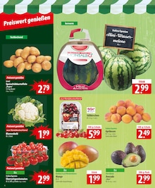 Tomaten im famila Nordost Prospekt "besser als gut!" mit 24 Seiten (Lübeck)