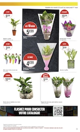 Plantes Angebote im Prospekt "Casino #hyperFrais" von Géant Casino auf Seite 15