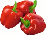 Paprika rot im E center Prospekt zum Preis von 1,49 €