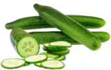 Salatgurke im Angebot bei EDEKA in Stade Salatgurke Angebote von EDEKA Bio bei EDEKA Stade für 1,00 €