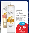 Shampoo bei budni im Berlin Prospekt für 2,99 €