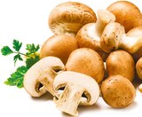 Kulturchampignons für 1,29 € bei Netto mit dem Scottie im Angebot Kulturchampignons im aktuellen Netto mit dem Scottie Prospekt