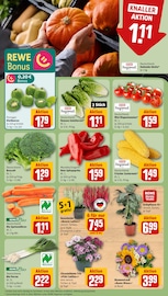 Kürbis im REWE Prospekt in Tübingen Aktueller REWE Prospekt mit Kürbis, "Dein Markt", Seite 7