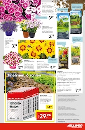 Blumenerde im Hellweg Prospekt in Dülmen Aktueller Hellweg Prospekt mit Blumenerde, "Die Profi-Baumärkte", Seite 23