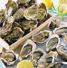 Huîtres fines de claires Marennes-Oléron IGP N°3 - Netto à Neuilly-sur-Seine Huîtres fines de claires Marennes-Oléron IGP N°3 en promo chez Netto Neuilly-sur-Seine à 5,99 €