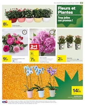 Promo Bouquet De Roses dans le catalogue Carrefour du moment à la page 69