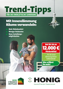 Aktueller Honig Baustoffe Prospekt (Bad Münder (Deister), 9 Seiten zum blättern Honig Baustoffe Prospekt Trend-Tipps für die energetische Sanierung mit 9 Seiten